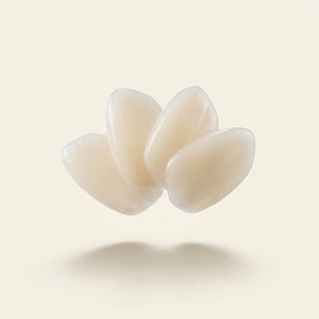 Smile veneers — ivory porcelain artwork